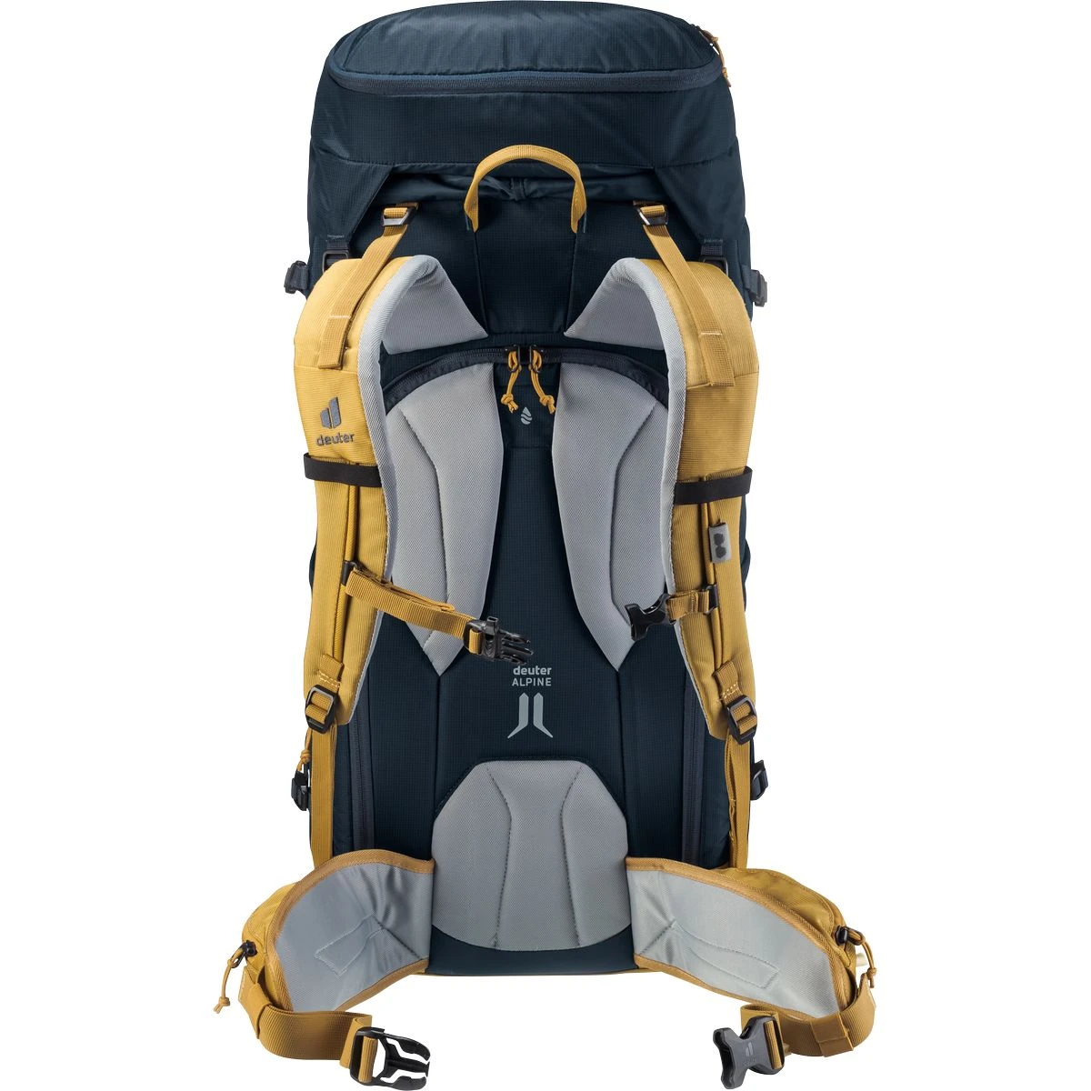 Deuter Rise 34+ Ski-Rucksack 2 Deuter Rise 34+ Ski-Rucksack – Bild 2