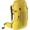 Deuter Futura 26 Wanderrucksack